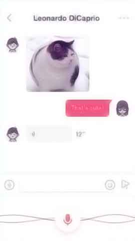 ddos在线攻击测试网站软件程序维护界面